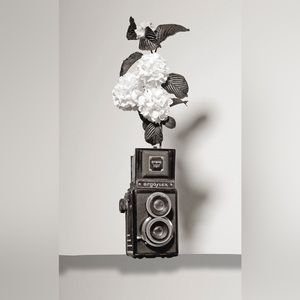 Wall Art elite and rare pieces by artist known as Studio5